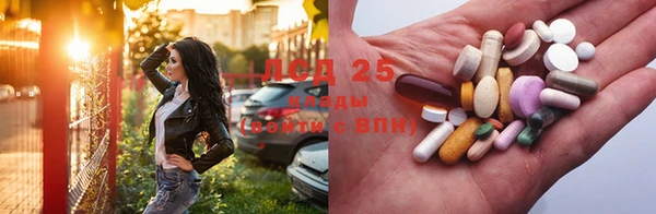 хмурый Няндома