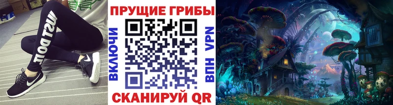 Галлюциногенные грибы GOLDEN TEACHER  Купить где  Боровск 